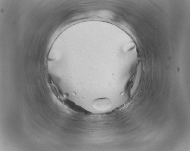 X0000077351532200611171845