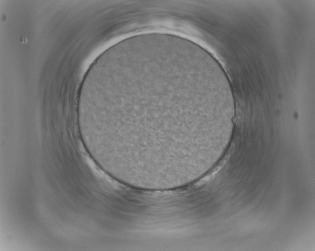 X0000077351534200611171845