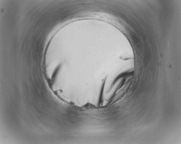 X0000077351536200611171845