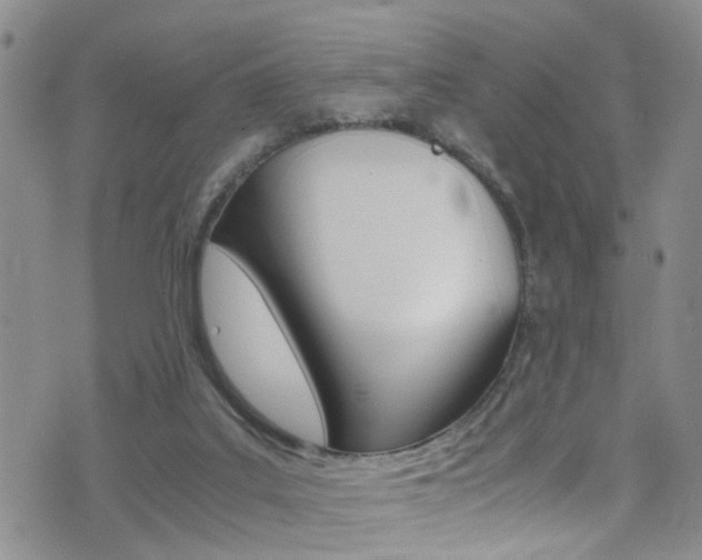 X0000077360019200610200951