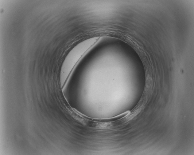 X0000077360096200610200951