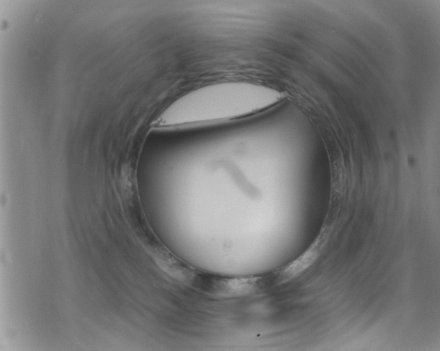 X0000077360184200610200949