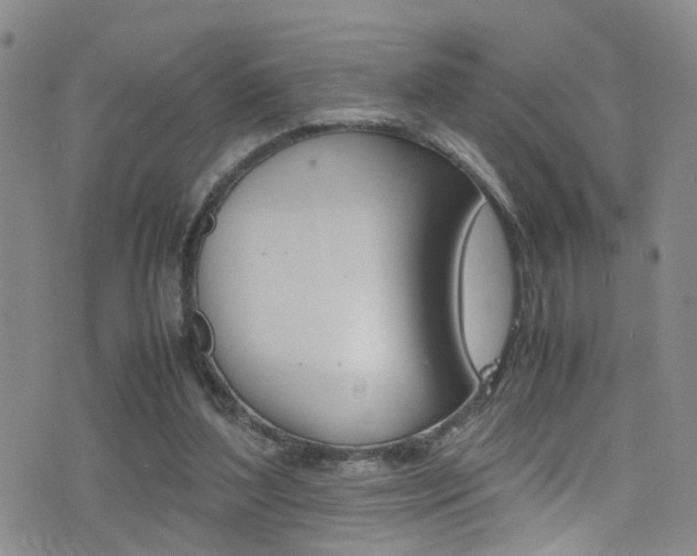 X0000077360204200610200948