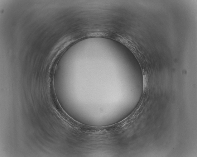X0000077360243200610200947