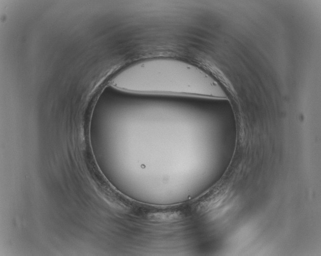 X0000077360251200610200947