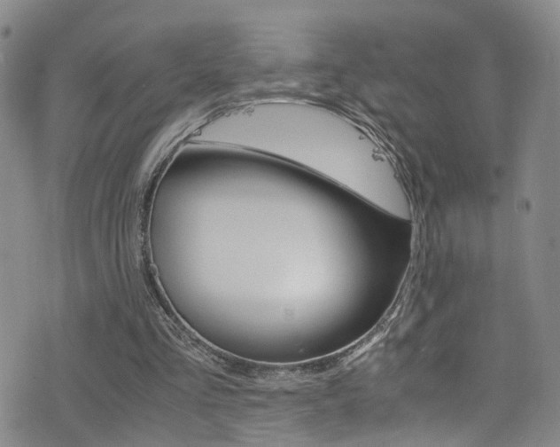 X0000077360293200610200947