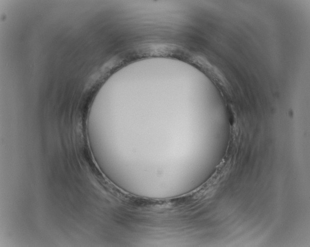 X0000077360306200610200947