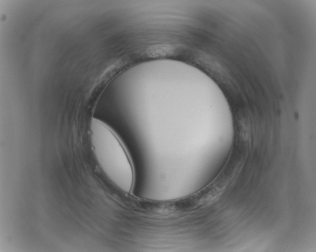 X0000077360308200610200947