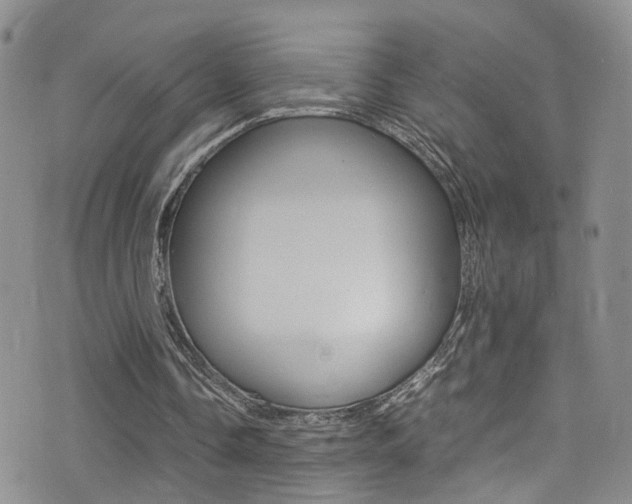 X0000077360338200610200946