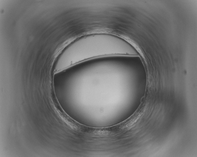 X0000077360437200610200944
