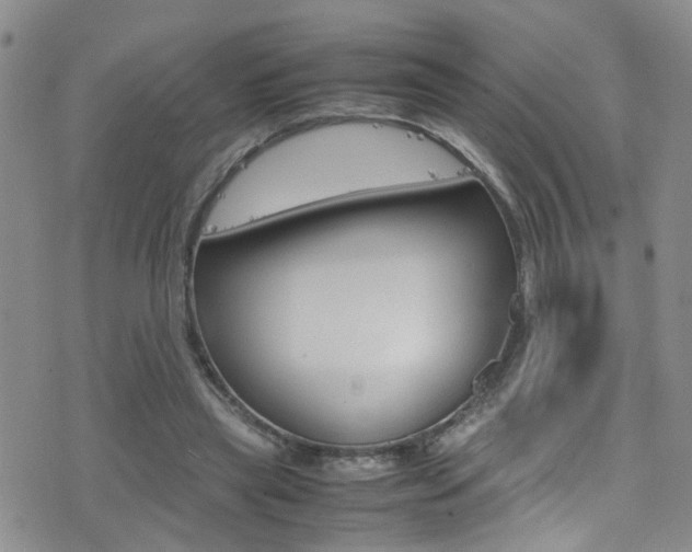 X0000077360445200610200944