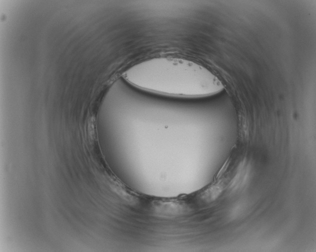 X0000077360475200610200945