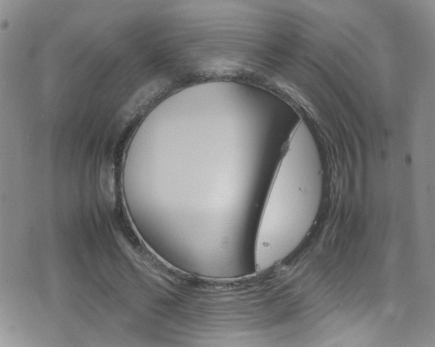 X0000077360494200610200944