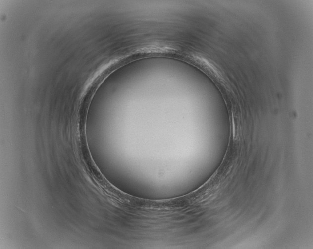 X0000077360531200610200942
