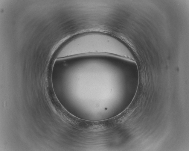 X0000077360536200610200943