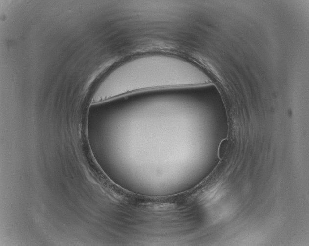 X0000077360539200610200943
