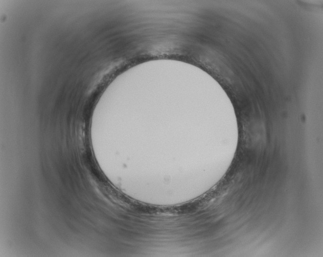 X0000077360592200610200942