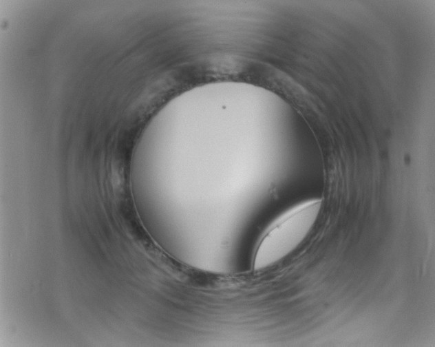 X0000077360608200610200942