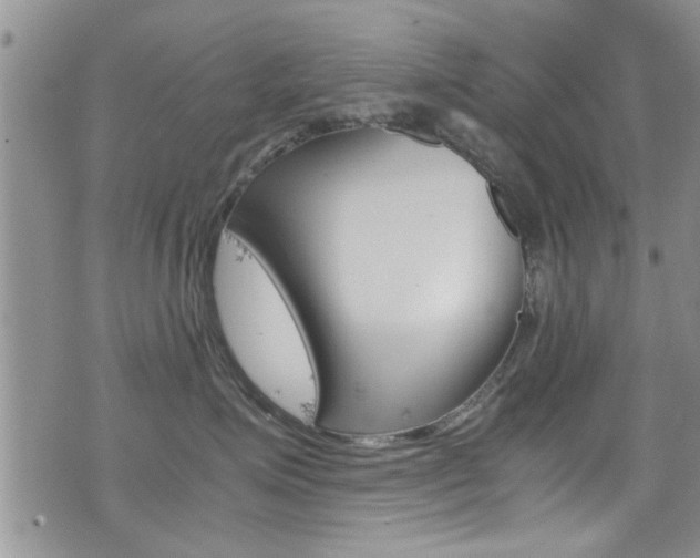 X0000077360623200610200942