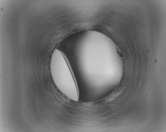 X0000077360624200610200942