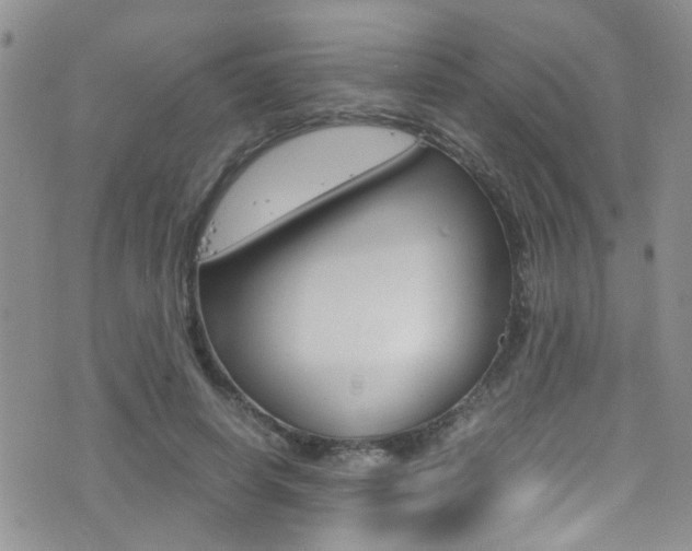 X0000077360642200610200941