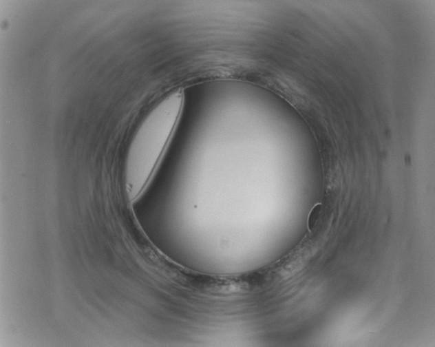 X0000077360646200610200941