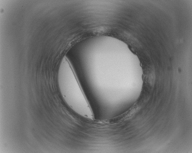 X0000077360660200610200941