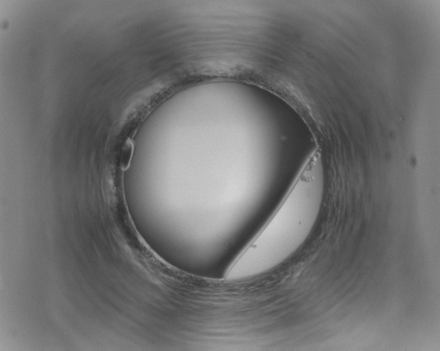 X0000077360688200610200941