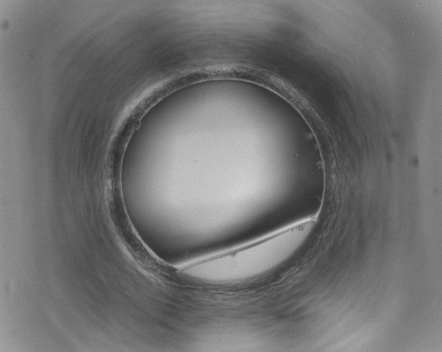 X0000077360728200610200939