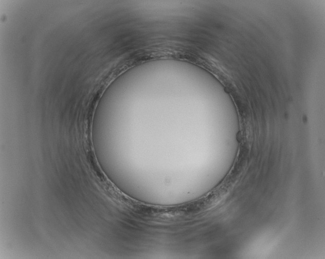 X0000077360737200610200940
