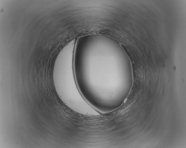 X0000077360818200610200938
