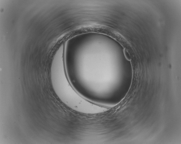 X0000077360822200610200938
