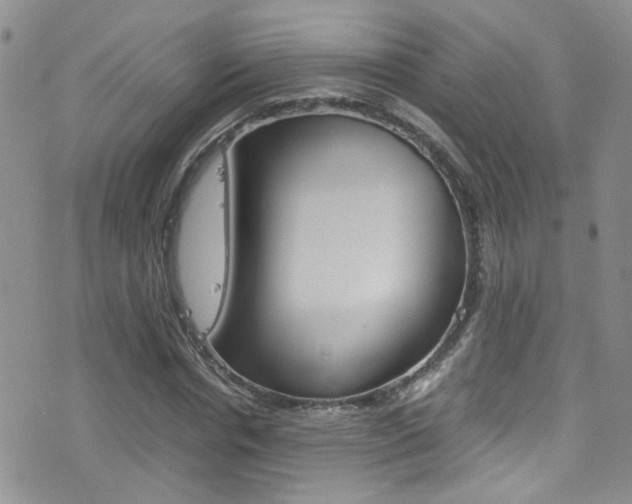 X0000077360826200610200938