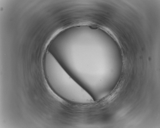 X0000077360851200610200938