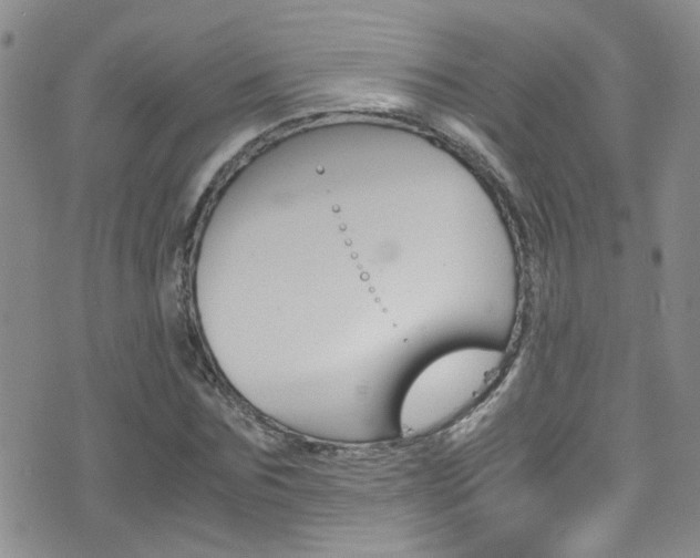 X0000077360875200610200938