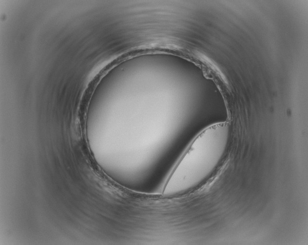X0000077360876200610200938