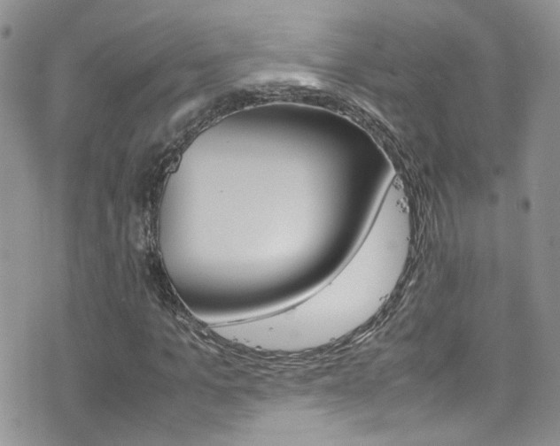 X0000077360965200610200936