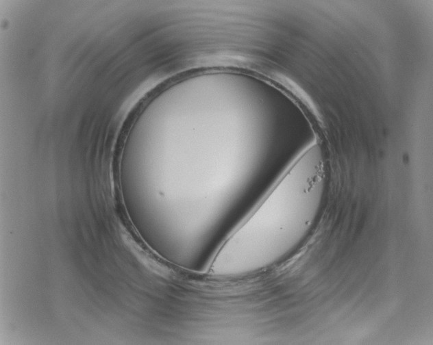 X0000077360980200610200936
