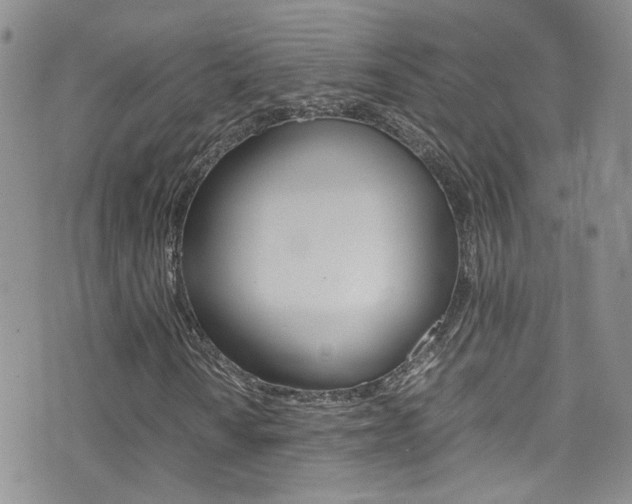 X0000077361010200610200935