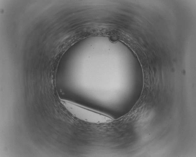 X0000077361013200610200935