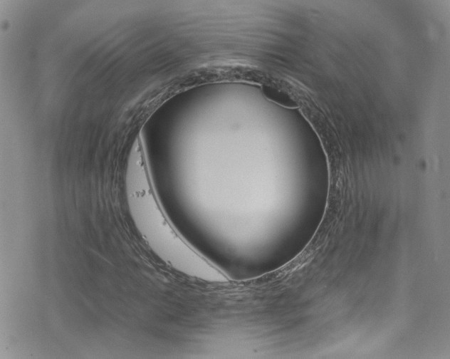 X0000077361014200610200935