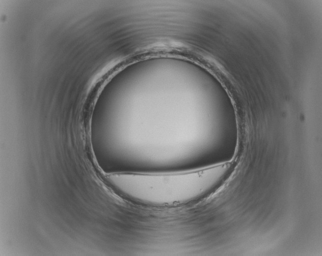 X0000077361018200610200935