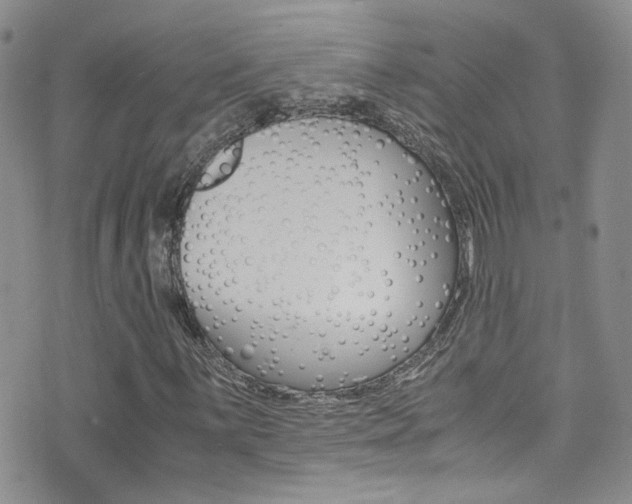X0000077361059200610200934