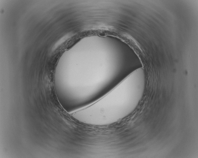 X0000077361064200610200934