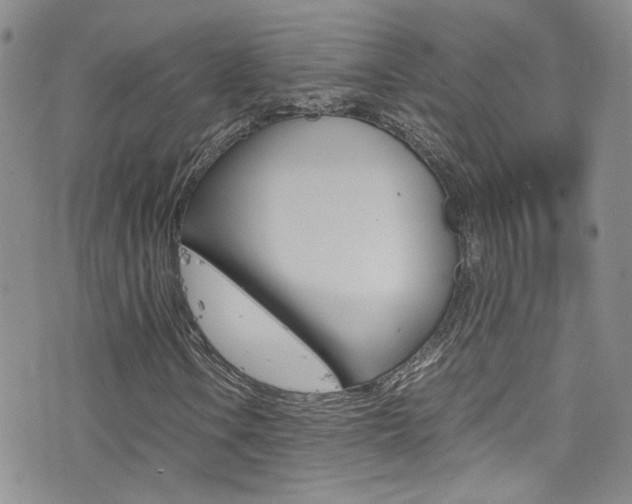 X0000077361106200610200933