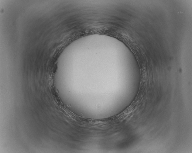 X0000077361109200610200933