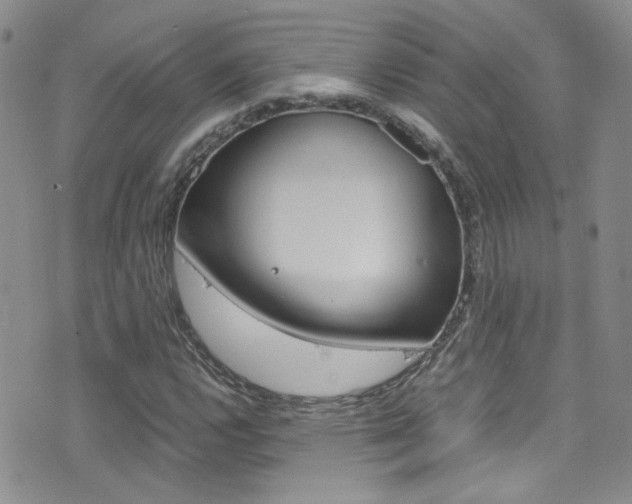 X0000077361112200610200933
