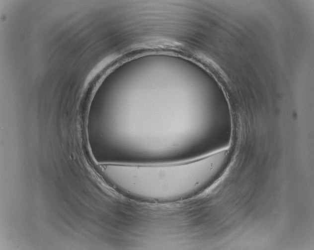 X0000077361114200610200933