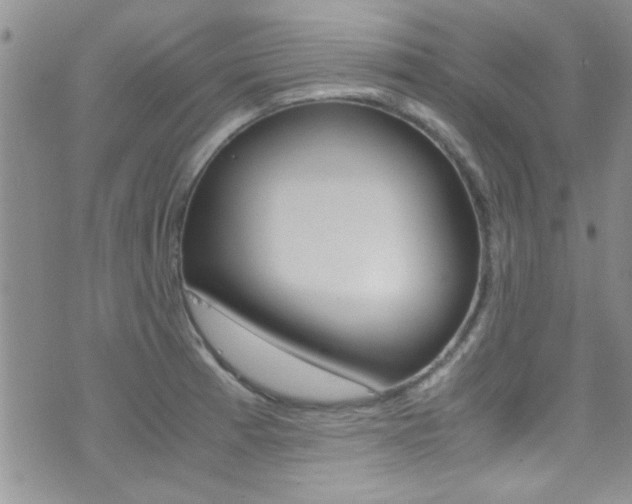 X0000077361185200610200932