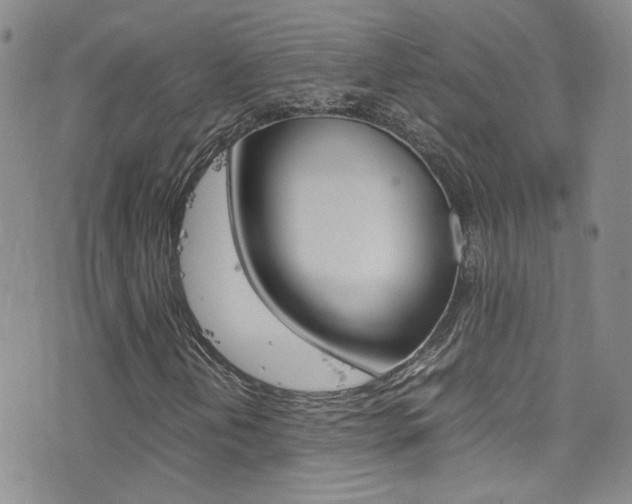 X0000077361202200610200931